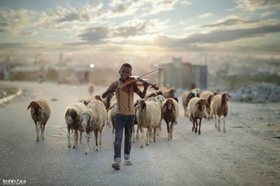 عازف كمان يرعى الأغنام في غزة.. تعرّف على تفاصيل الصورة!